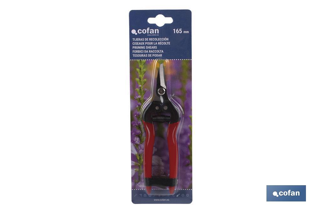 Imagen Adicional de Tijera de recoleccion