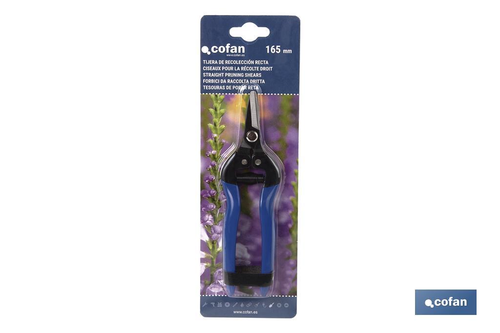 Imagen Adicional de Tijeras de recolección con punta recta corta y longitud total de 165 mm