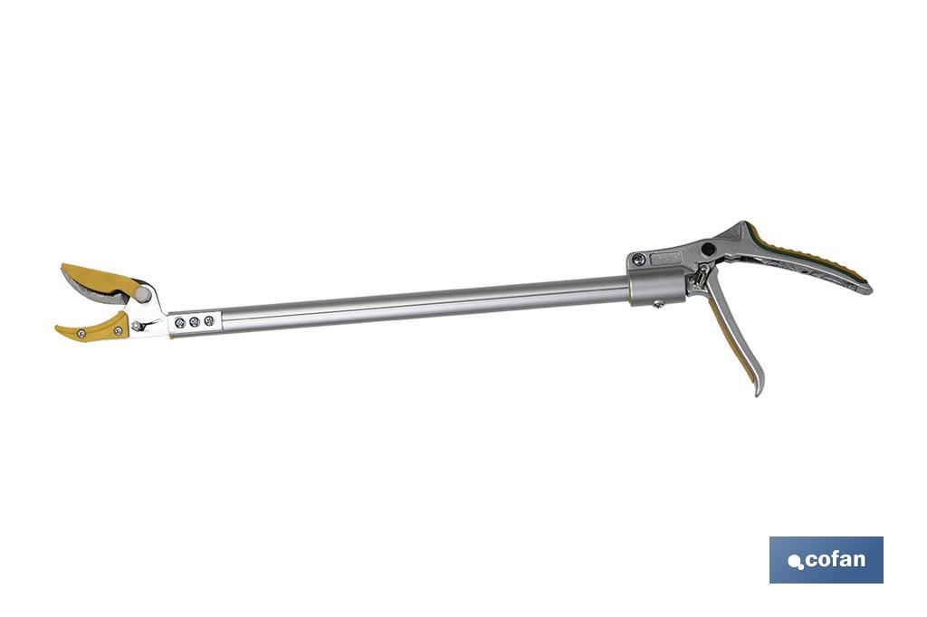 Imagen Adicional de Podadora de largo alcance